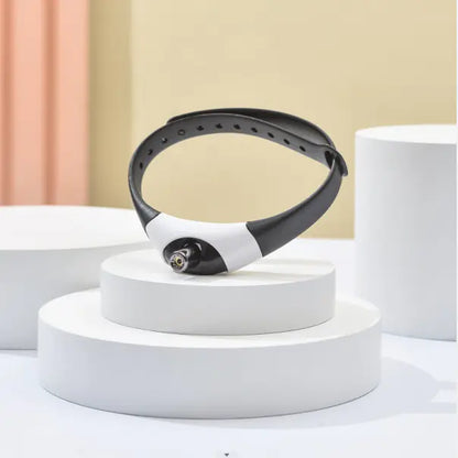 Premium Pet Cat Toy with Laser Collar for Interactive Play